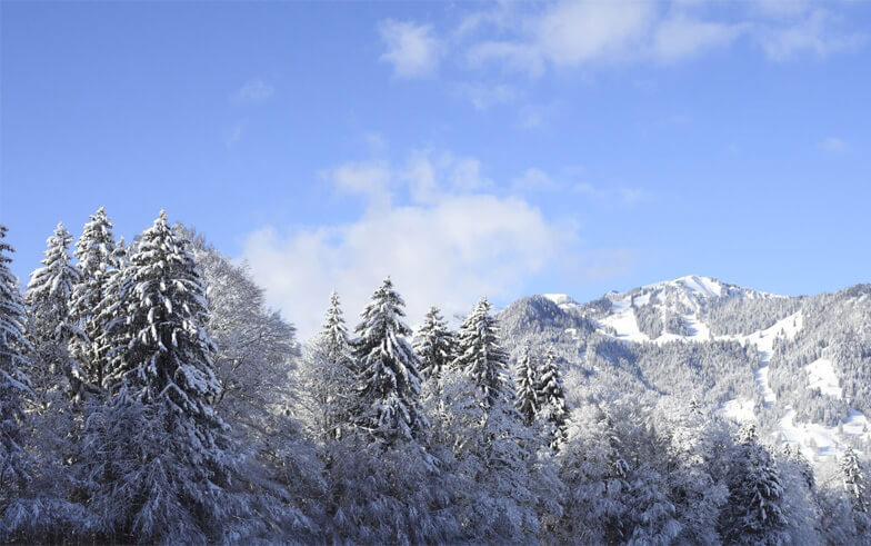 The Oxford Ski Company case study image